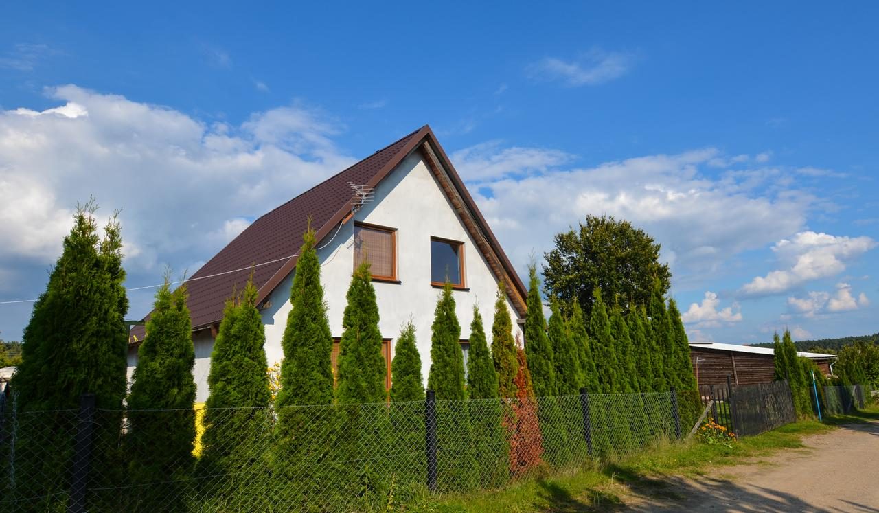 Dom Słonecznik od strony drogi, żywopłot z tui wzdłuż ogrodzenia